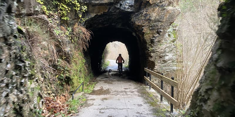 Descenso Alquiler de bicicleta más traslado al inicio del descenso